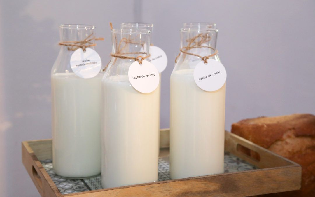 Los encuentros saludables: Los lácteos en la alimentación actual, mitos y realidades
