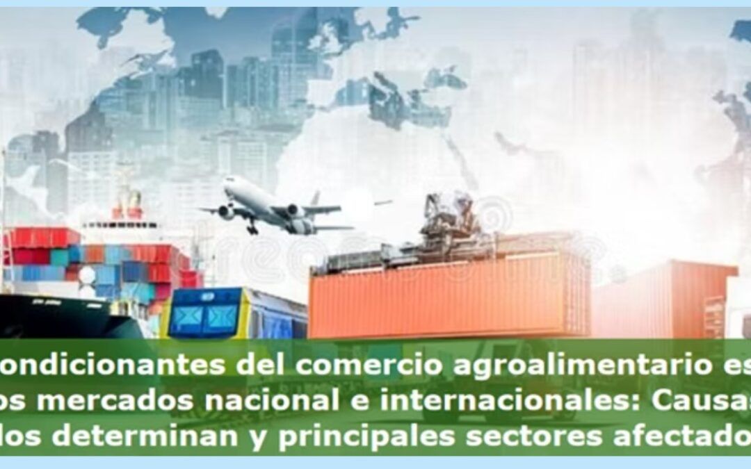 Los condicionantes del comercio agroalimentario español en los mercados nacional e internacionales: Causas que los determinan y principales sectores afectados.