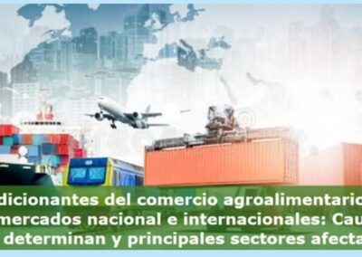 Los condicionantes del comercio agroalimentario español en los mercados nacional e internacionales: Causas que los determinan y principales sectores afectados.